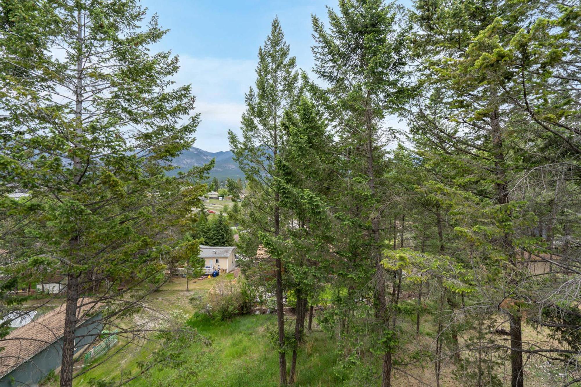 Merlot Mountain I Ping Pong I Sleep 7 I 55 Rokutv Invermere Eksteriør billede